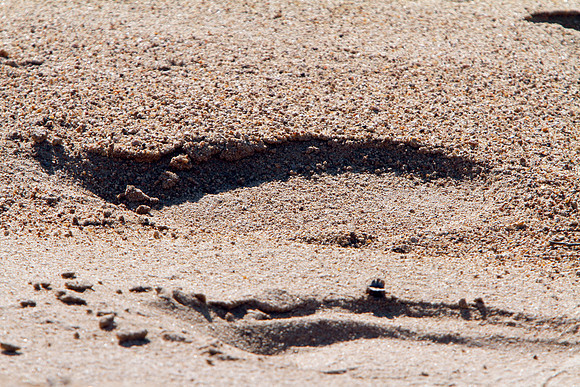 Footprint in the sand