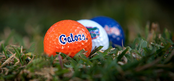 Gator Golf Balls