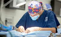 Student surgeons, University of Florida VetMed